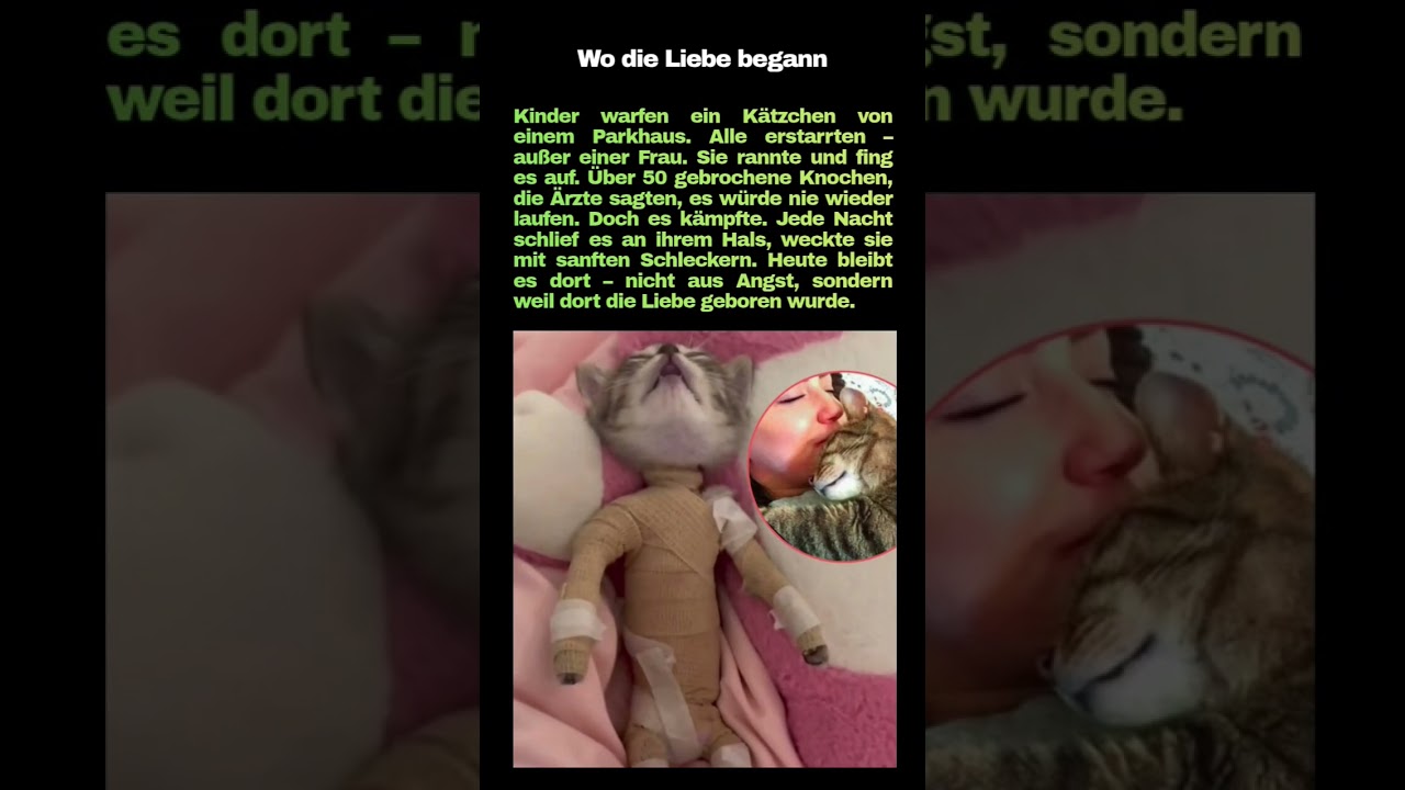 Eine wahre Geschichte über Mut, Mitgefühl und die heilende Kraft der Liebe.
