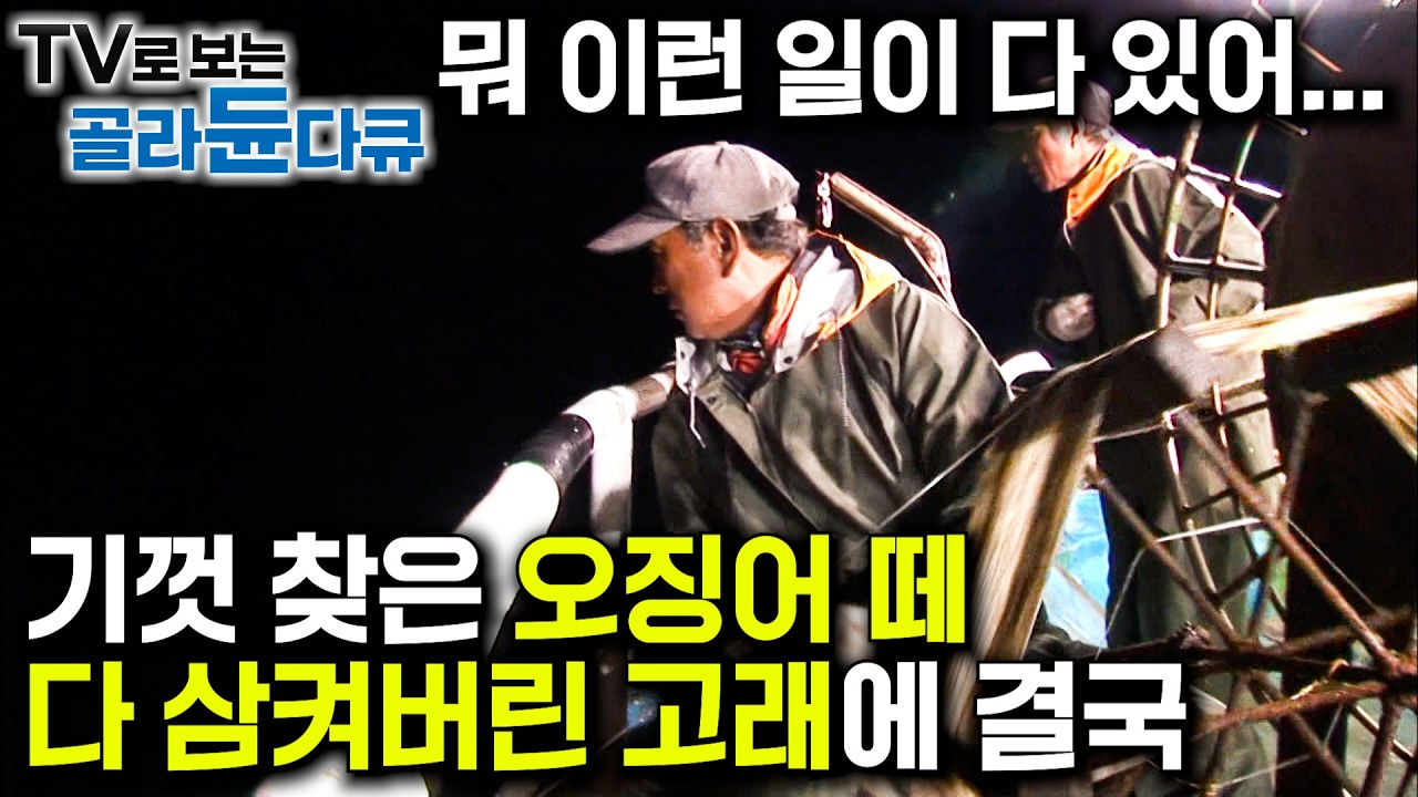 불빛을 보고 몰려든 오징어를 먹기위해 고래가 나타났다｜오늘따라 맞지 않은 선원들의 호흡에 언성이 오가는 오징어배 잡이 현장｜금징어 되기 전 한국 오징어잡이 배｜극한직업｜#골라듄다큐