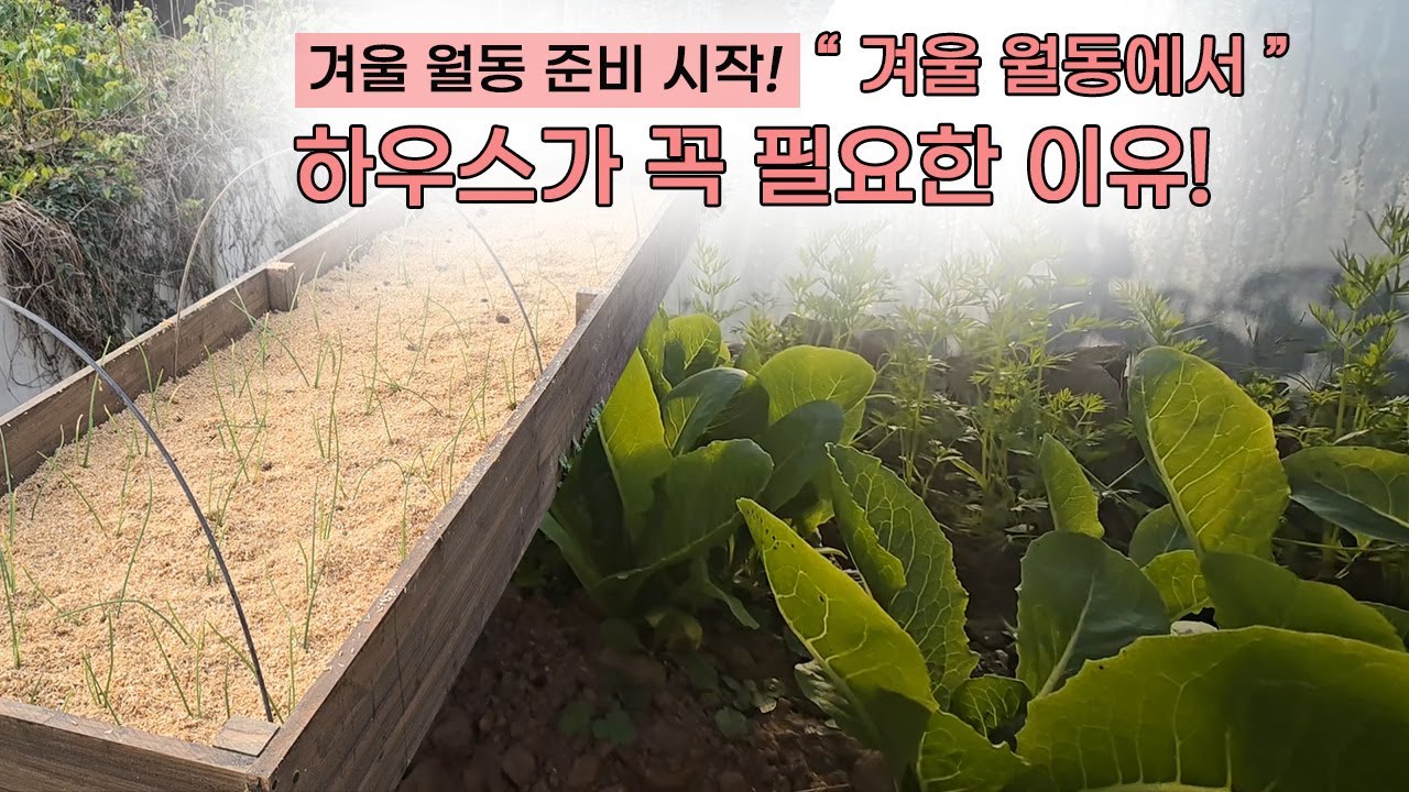 겨울 월동 준비 시작! 겨울월동에 하우스가 꼭 필요한 이유!