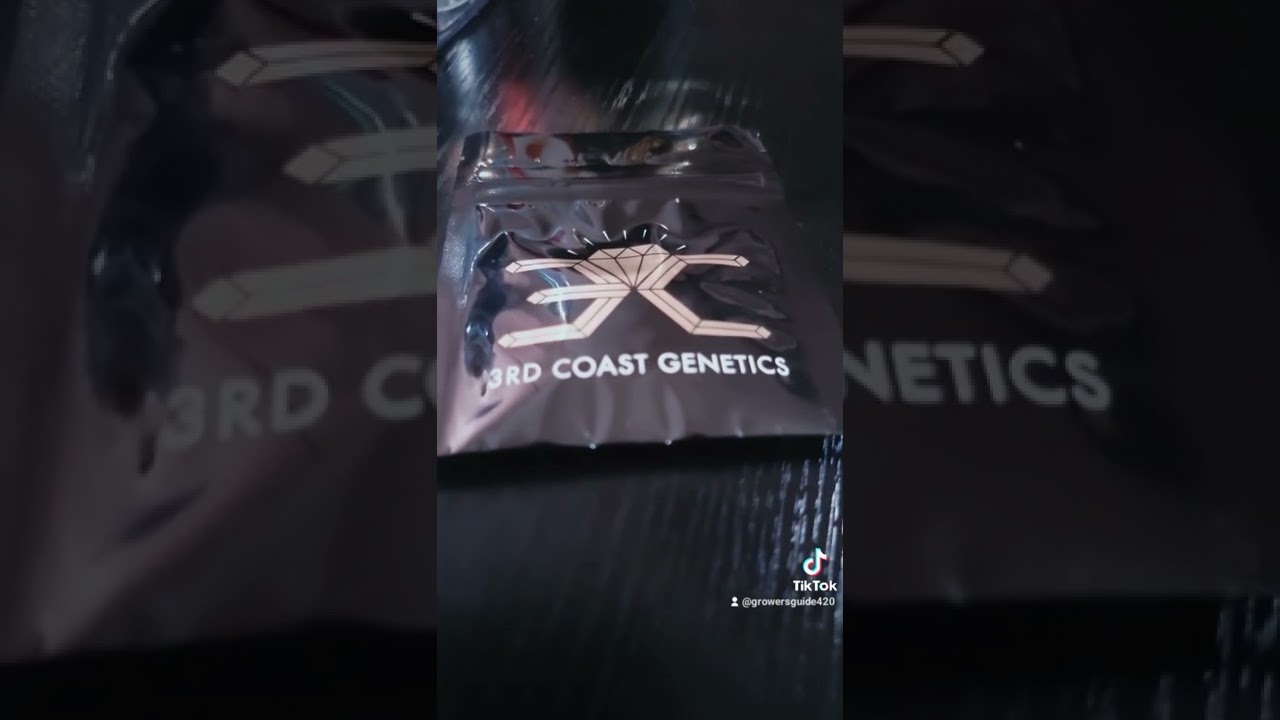 #shorts #growersguide420 Oreozmintz by 3rd coast genetics, will upload grow tutorials soon!