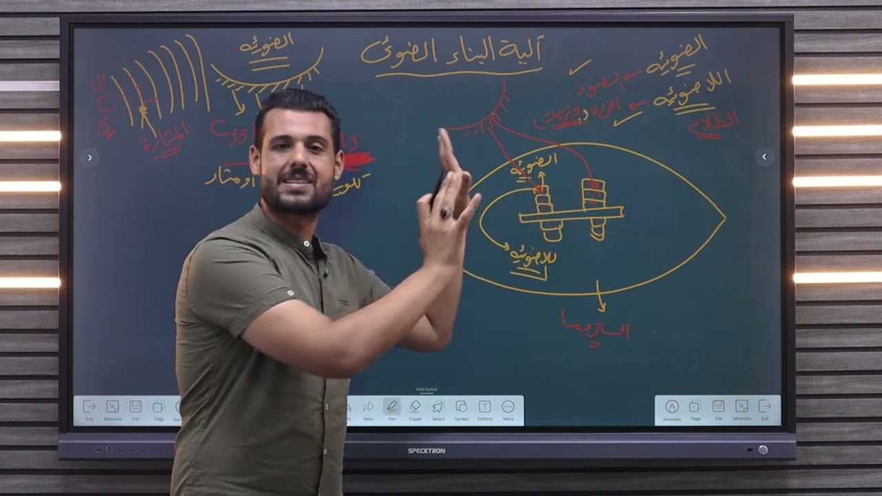 ٱليه البناء الضوئي التفاعلات الضوئيه واللاضوئيه وتجربه ميلفن كلفن أ/ محمد أبوهاشم