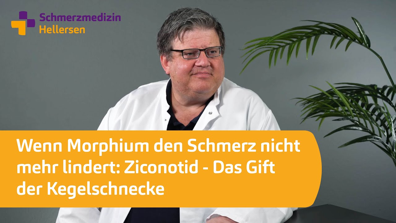 Wenn Morphium den Schmerz nicht mehr lindert: Ziconotid - Das Gift der Kegelschnecke