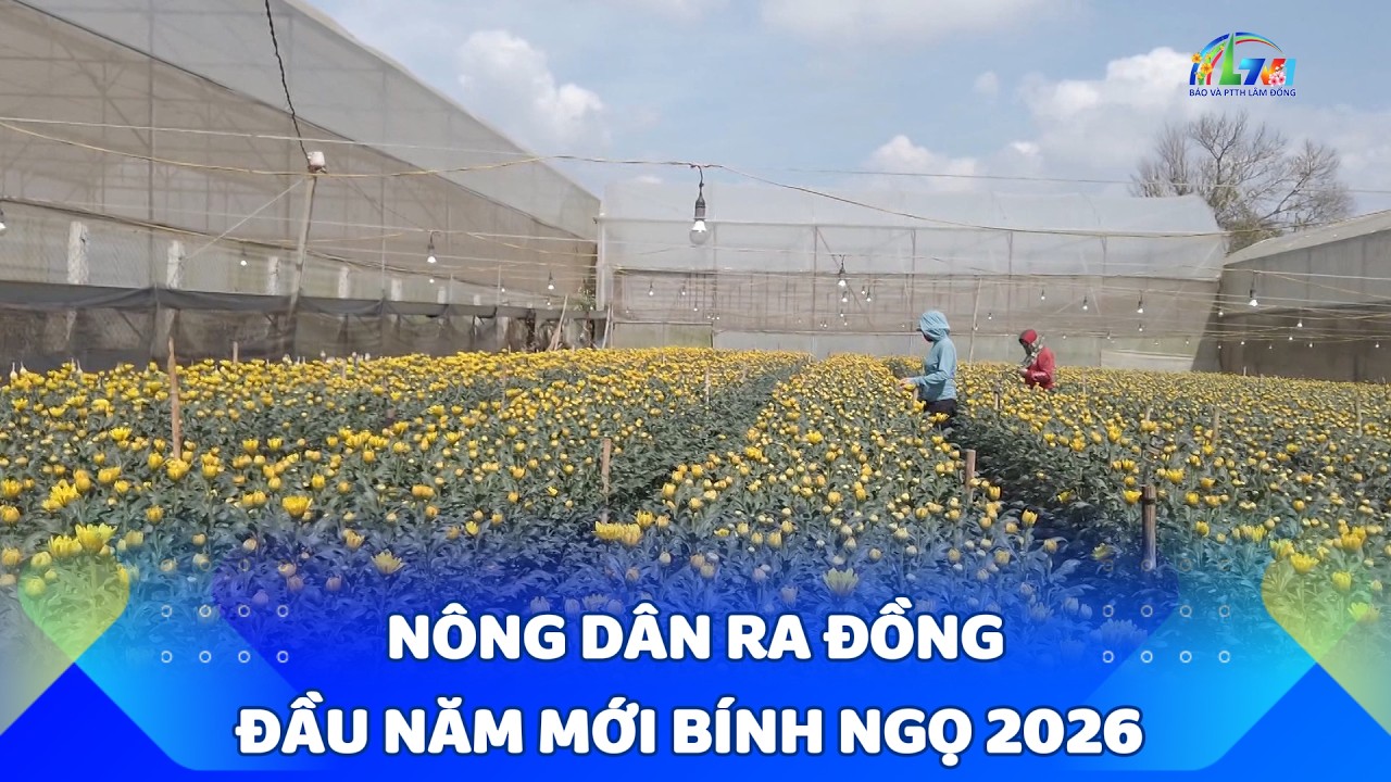 Nông dân ra đồng đầu năm mới Bính Ngọ 2026