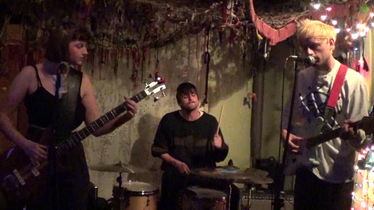 Hello Shark (2016-11-14 - Rochester NY) [Full Set]