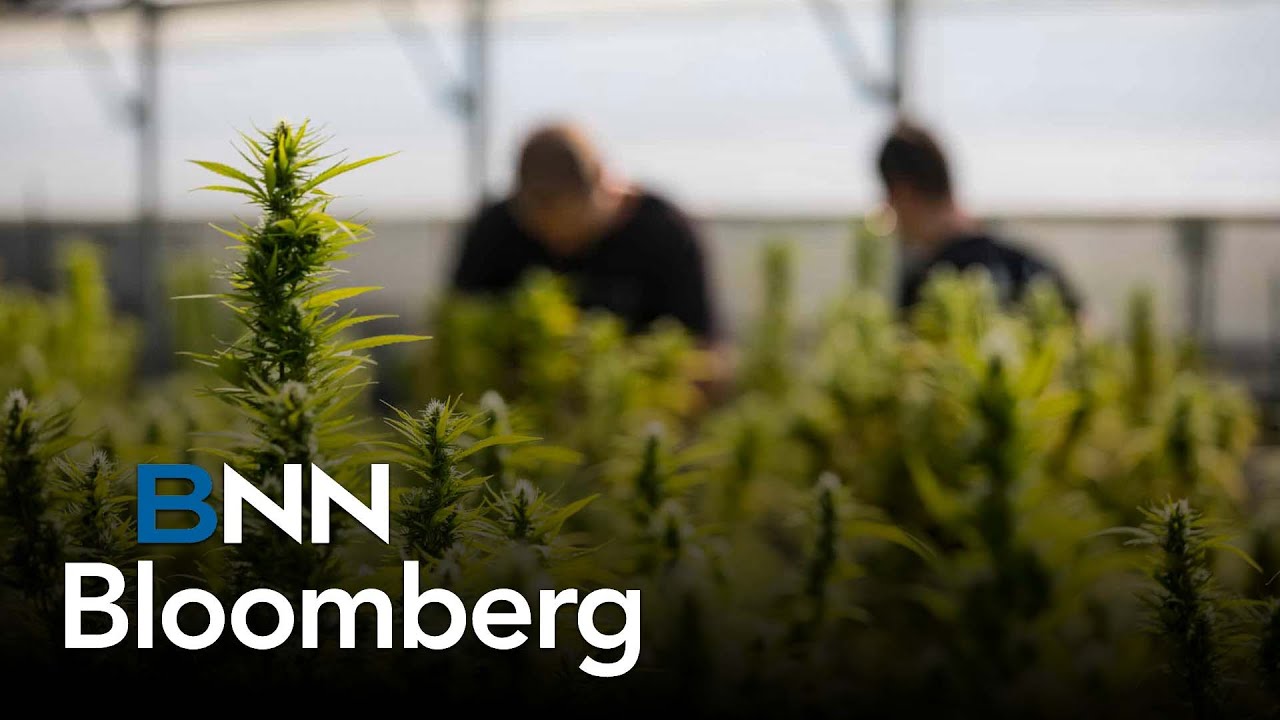 Why Canopy Growth's founder is more optimistic about short-term catalysts in Europe over the U.S.