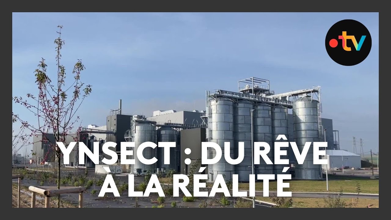 L'entreprise Ynsect officiellement été placée en liquidation judiciaire