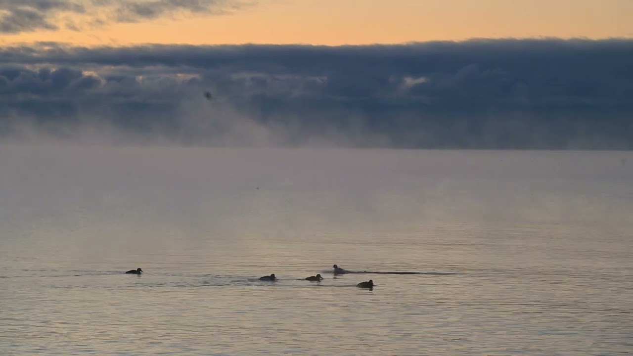 good morning on a happy cold -14 sunrise