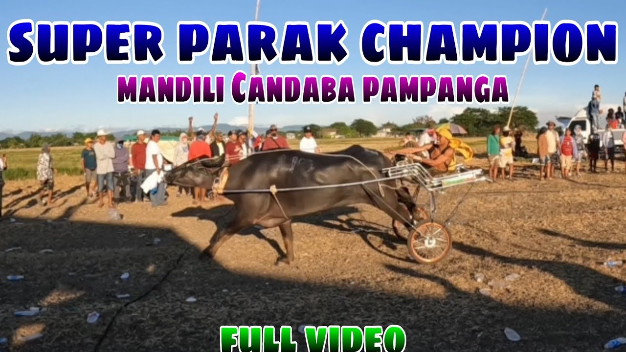 Super Parak rumesbak champion full video