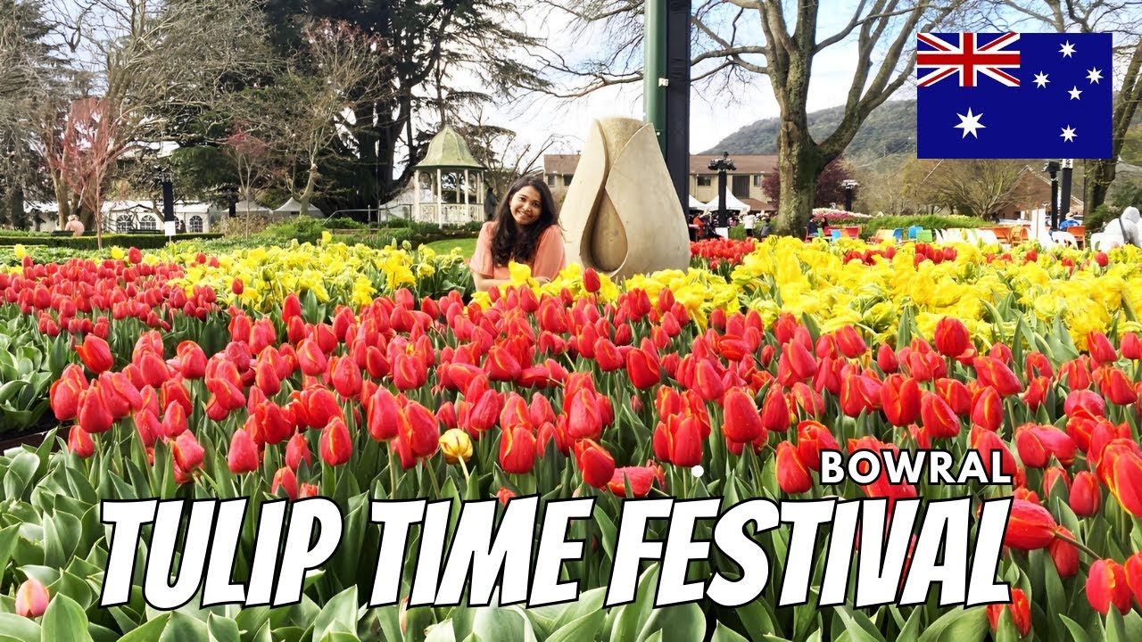 Bowral Tulip Time Festival | We found Tulips just 2 hours away from Sydney