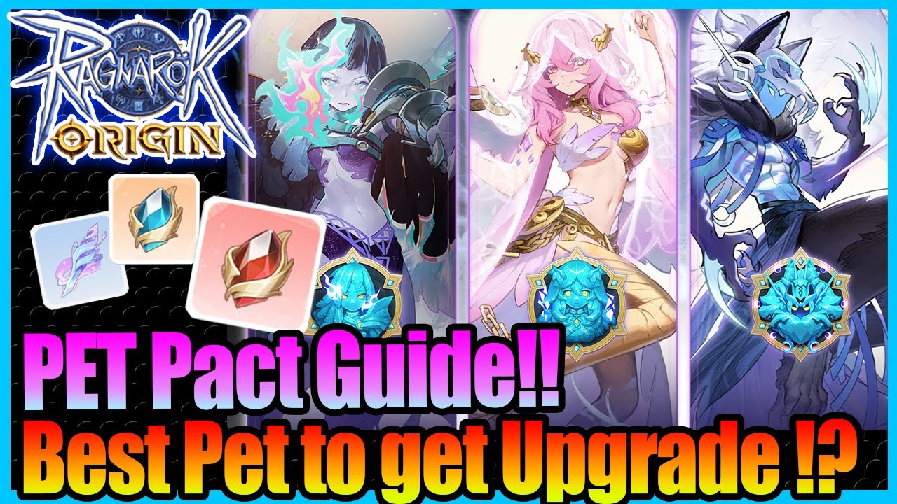Руководство по пакту о питомцах! Какого питомца стоит улучшить?! [Ragnarok Origin Global]