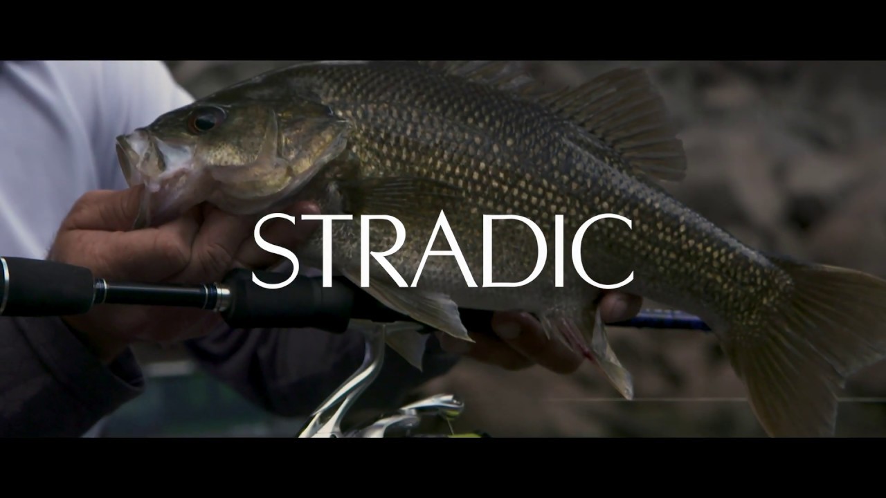 NEW Stradic FL