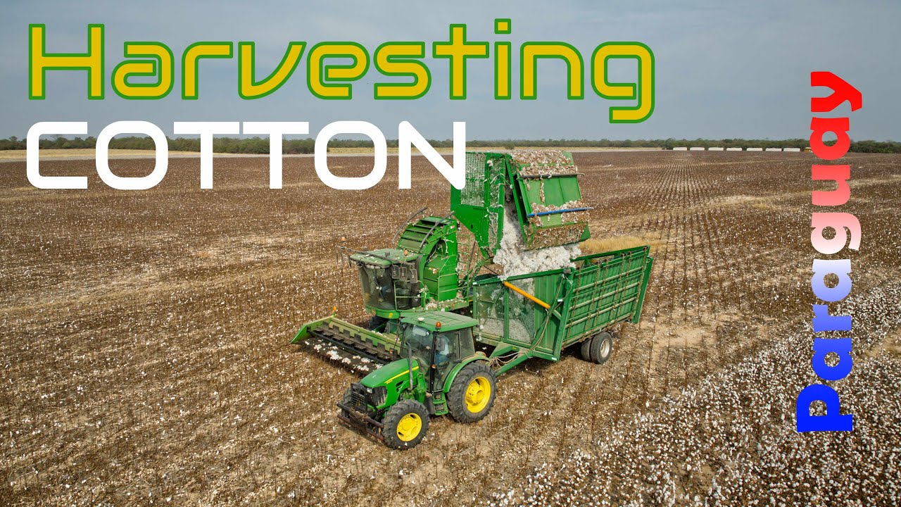 Harvesting cotton in Paraguay / Baumwolle ernten in Paraguay / John Deere / Chaco