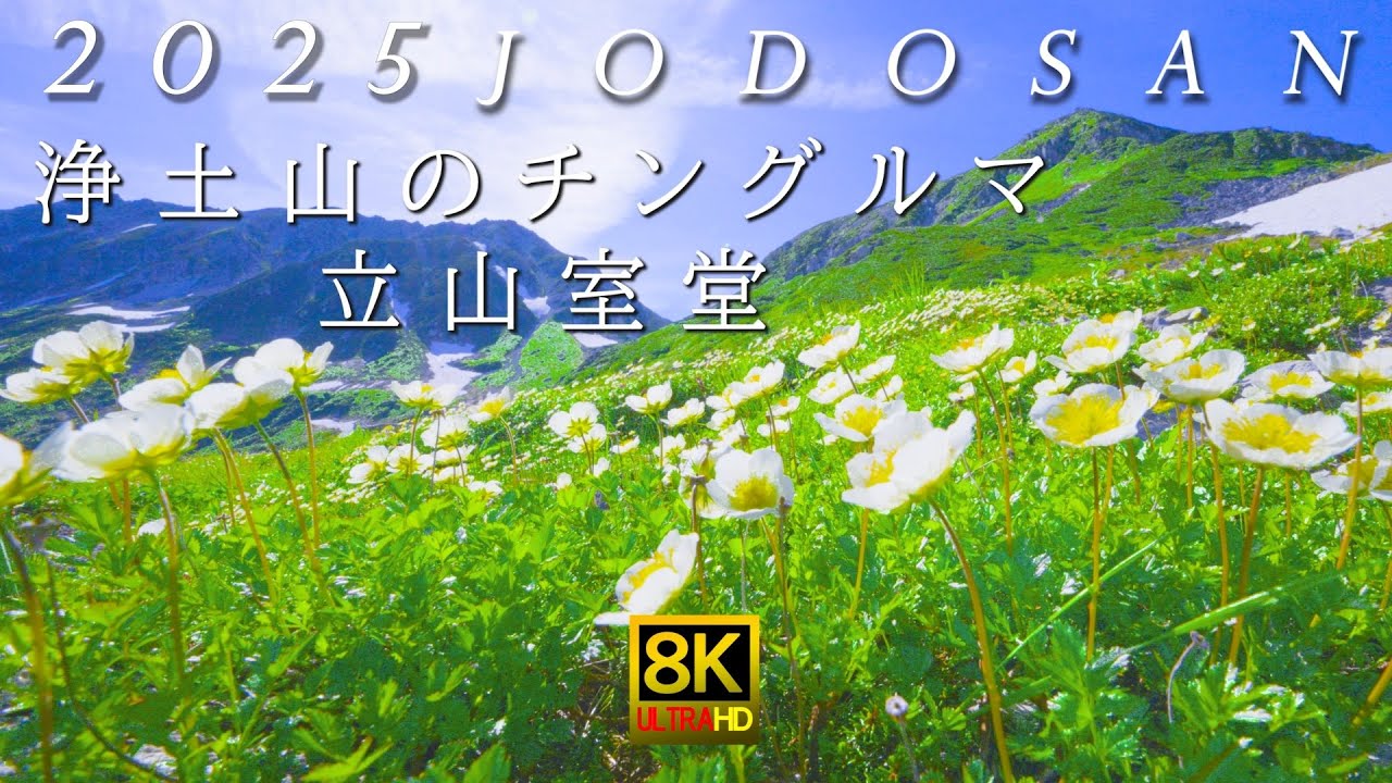 2025 立山室堂・浄土山 北アルプス 8K映像  ／ ドボルザーク： 交響曲第9番 2楽章Dvorak Symphony No.9 2mov