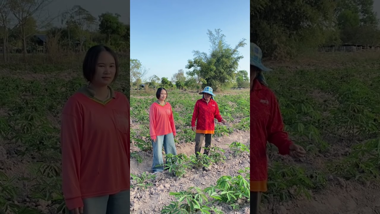 นางสาวภัคจิรา พันธุรศรี 6540303911
