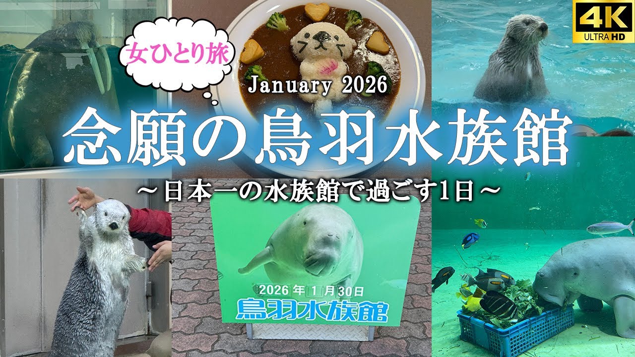 【女ひとり旅】2日目：鳥羽水族館🦦🐟 | 松阪牛回転焼肉🥩
