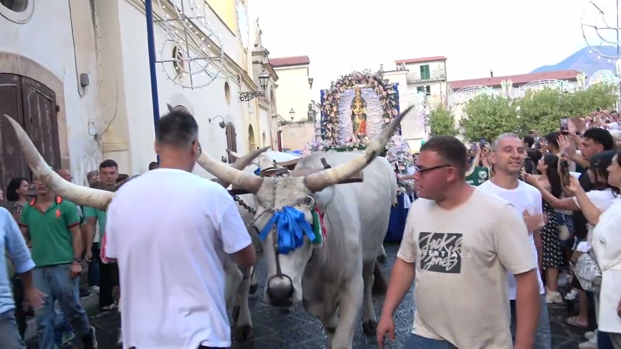 FILM  Festeggiamenti in ONORE DI  MARIA SS ASSUNTA 16 AGOSTO