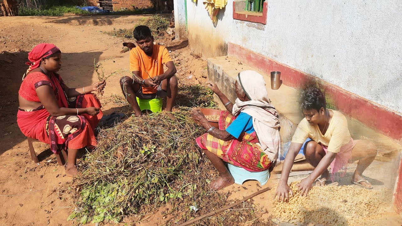 Daily working vlog | Ramesh village family