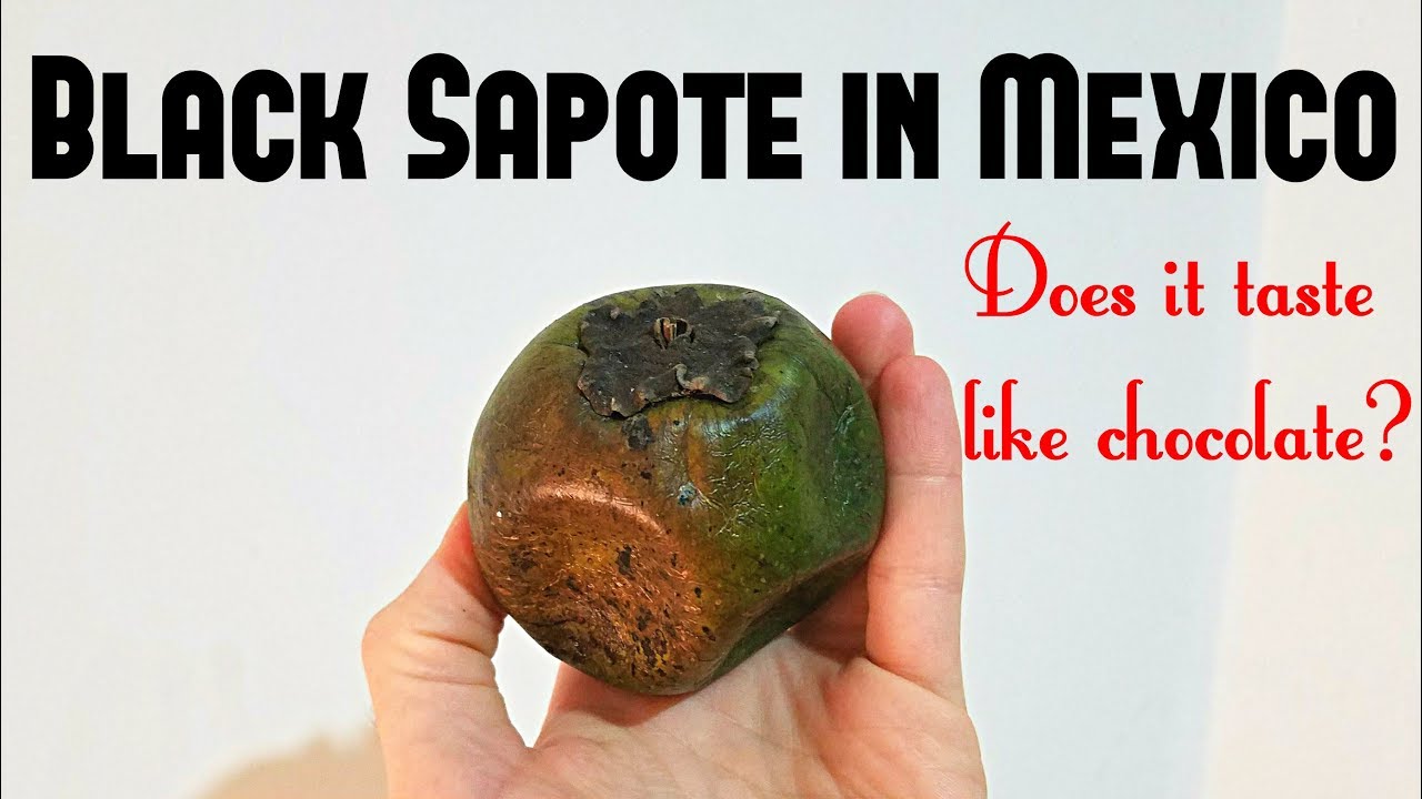 Black Sapote in Mexico - Weird Fruit Explorer Ep. 282