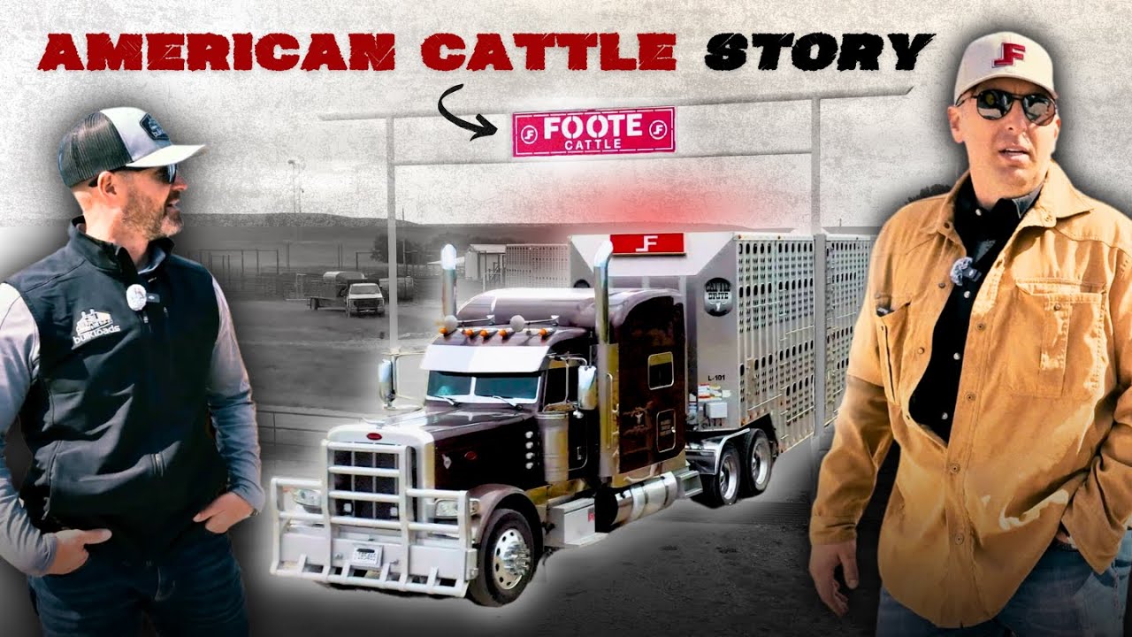 How the Foote Family Built One of America’s Largest Cattle Operations // A BulkLoads Feature