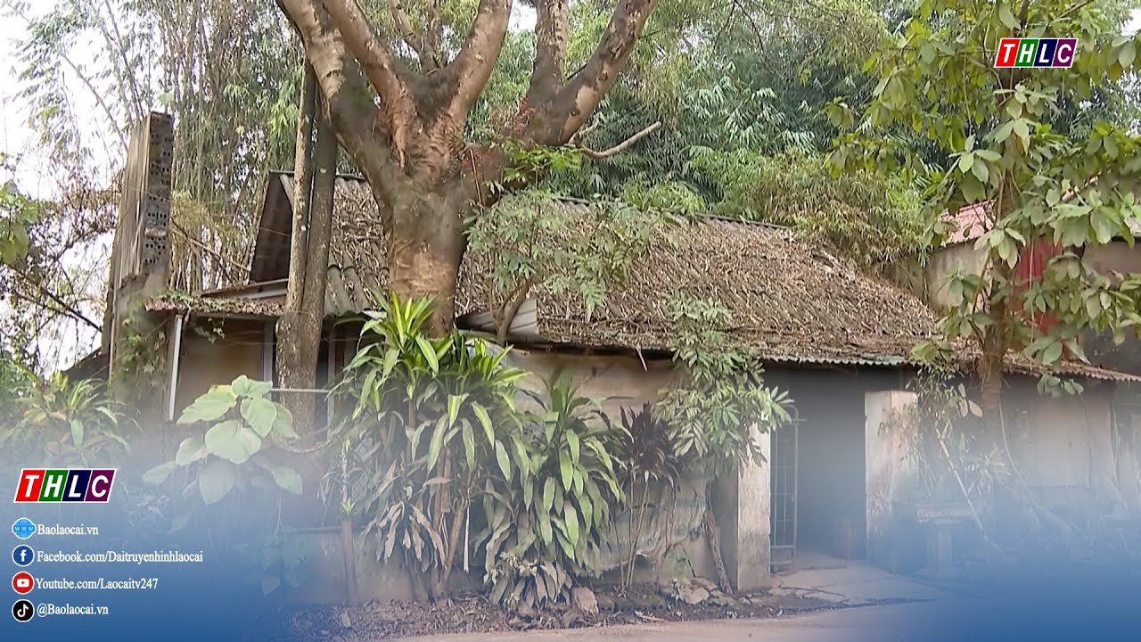 Hoàn thành sớm thống kê, áp giá đền bù dự án đê chống ngập sông Hồng Giới Phiên | THLC