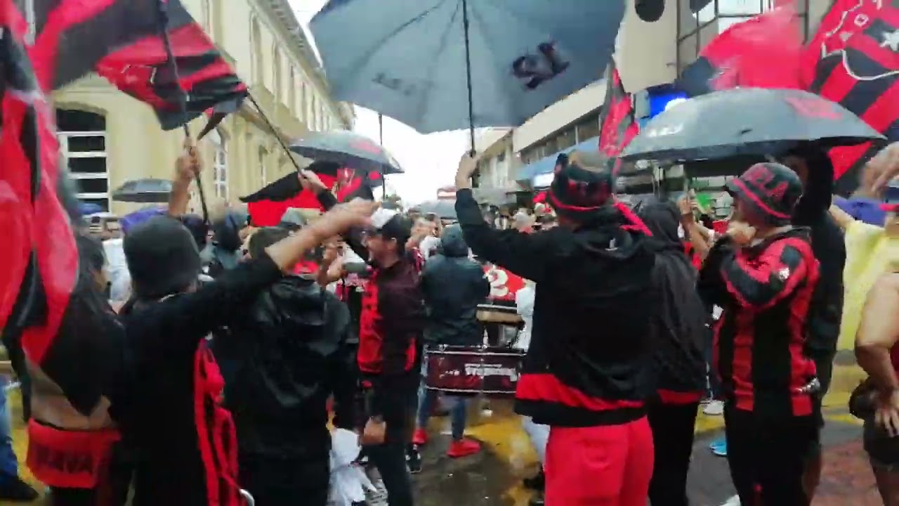 Morado A Dónde Está Tu Gente ❤️🖤👌