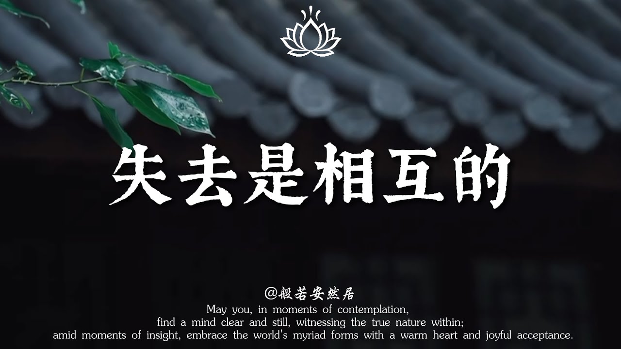 別再為離別而痛苦！佛說：失去是相互的。當他不再珍惜你，他也失去了最好的你。【般若安然居】#心灵感悟 #修心 #能量療愈 #佛學 #人生感悟 #禅意生活 #心靈暖流