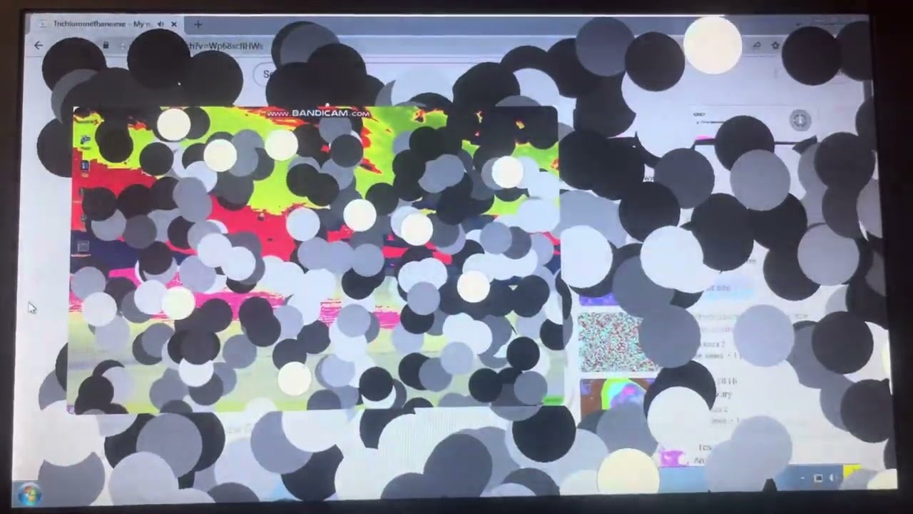 Trichloromethane.exe copied