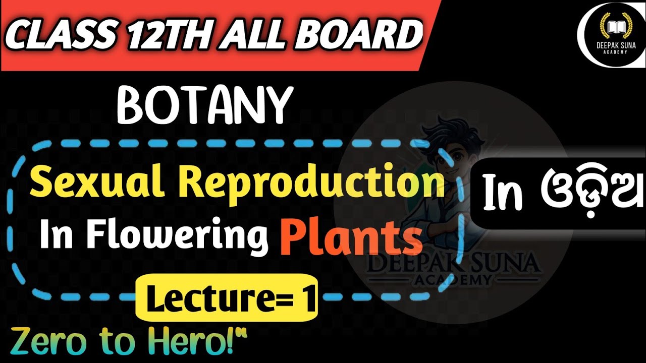 Sexual Reproduction In Flowering Plants Class 12th|| Male gametophytes and Female Gametophytes