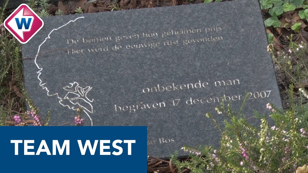 Wie is de man die 11 jaar geleden stierf in het Staelduinse Bos? - Team West