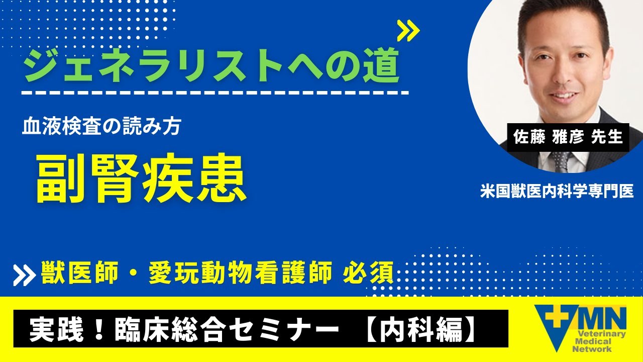 ジェネラリストへの道　実践！臨床総合セミナー 【内科編】トピック 13 血液検査の読み方〜副腎疾患〜