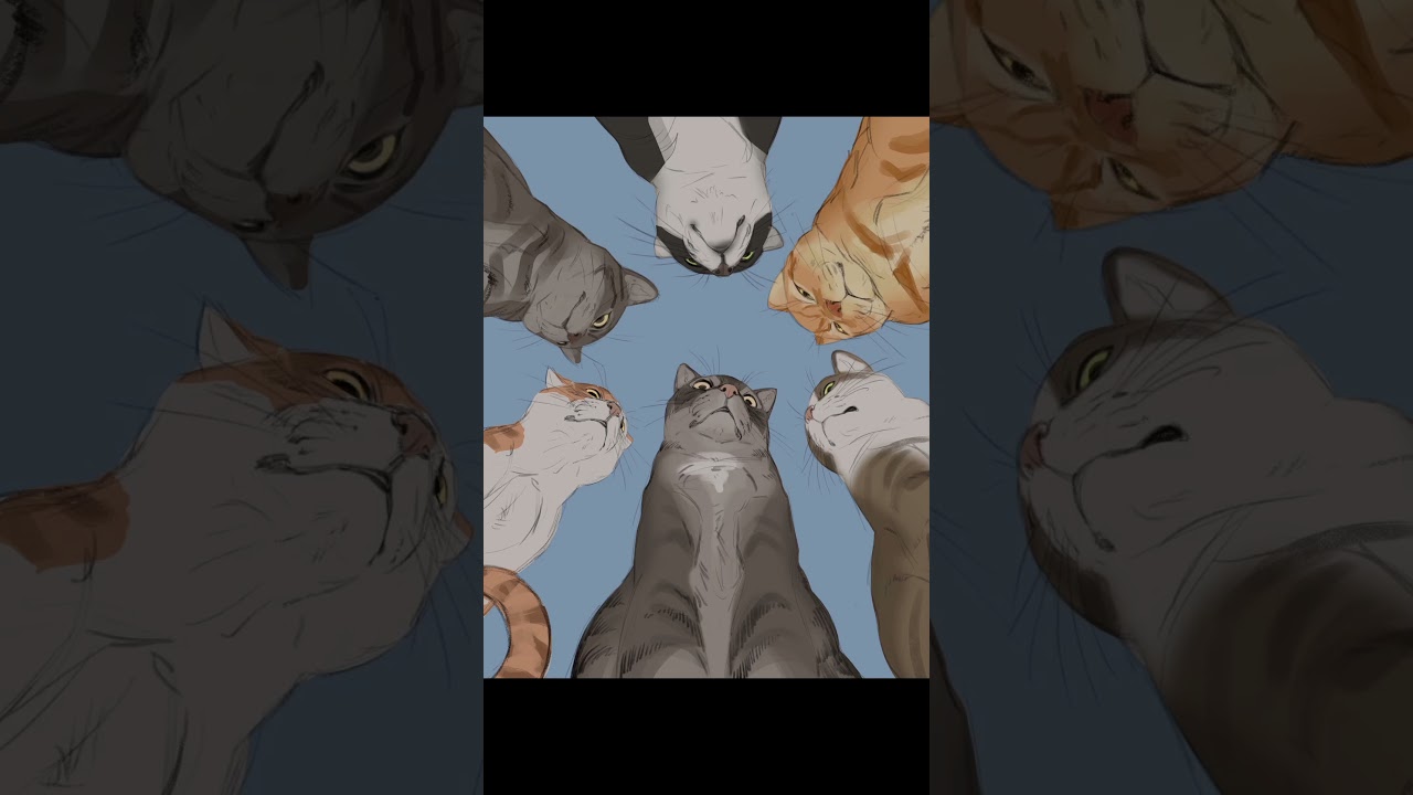 Cat Council