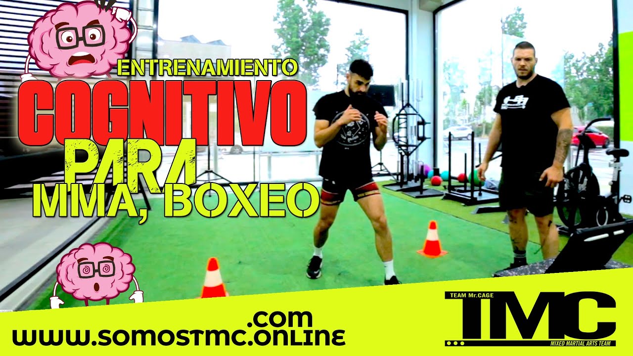 MMA 🥊 BOXEO entrenamiento COGNITIVO 🧠 para deportes de combate