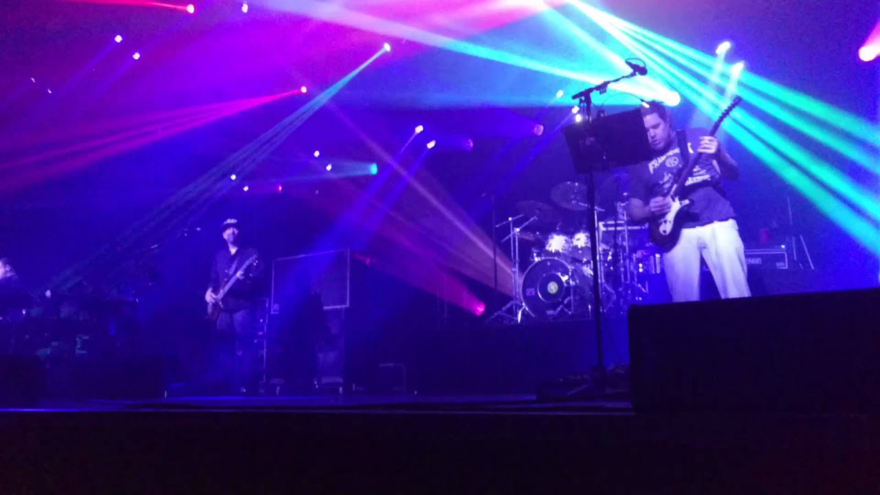 Disco Biscuits
