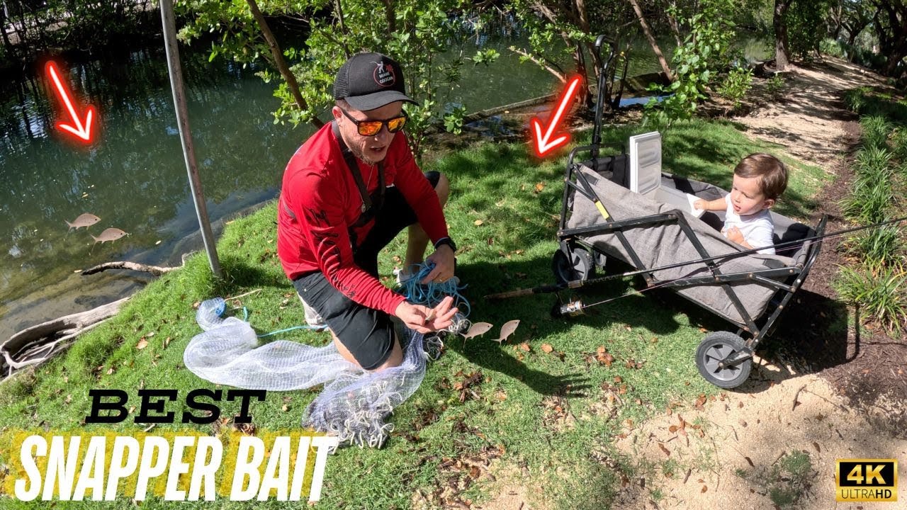 How and where to catch (Mojarra/Sand Perch)