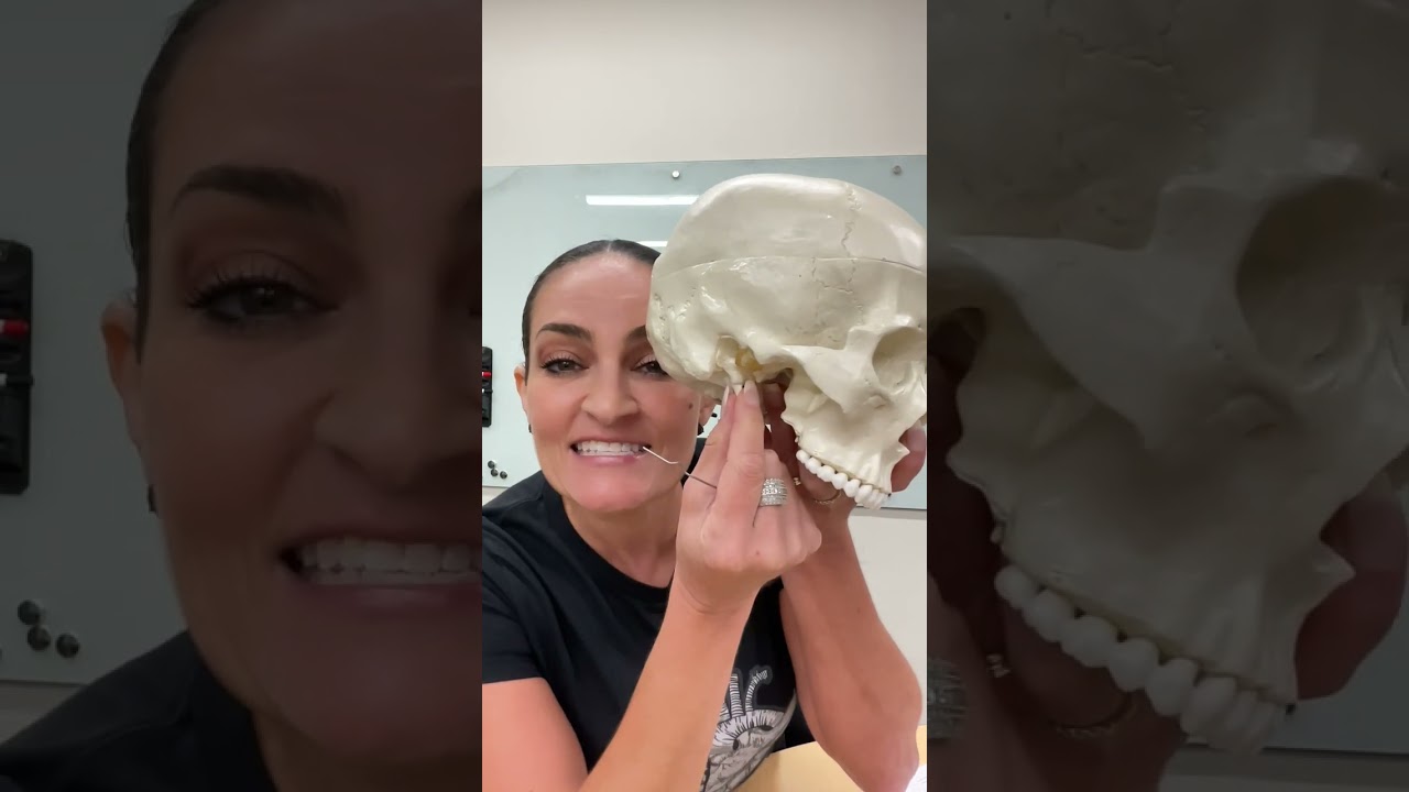 Skull Bones: Part 2