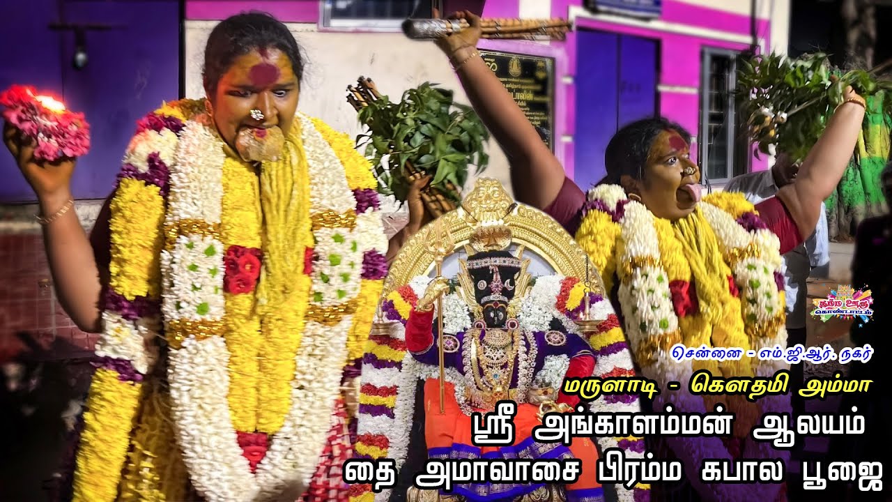 ✨கௌதமி அம்மா கோயில் பிரம்ம கபால பூஜை 🔥 #mayanakollai2026 #chennai #mgrnagar #nammaoorukondattam 