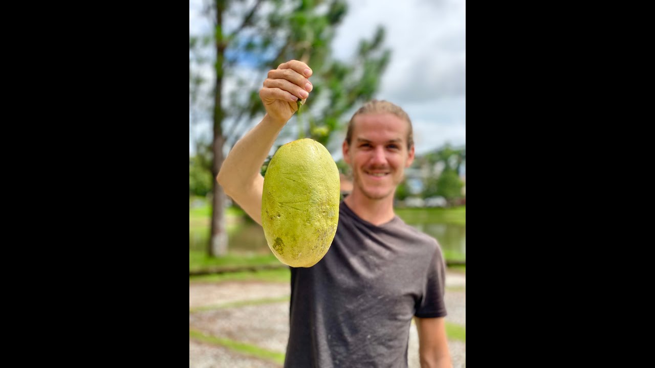 Giant Passion fruit?😲 #fruit