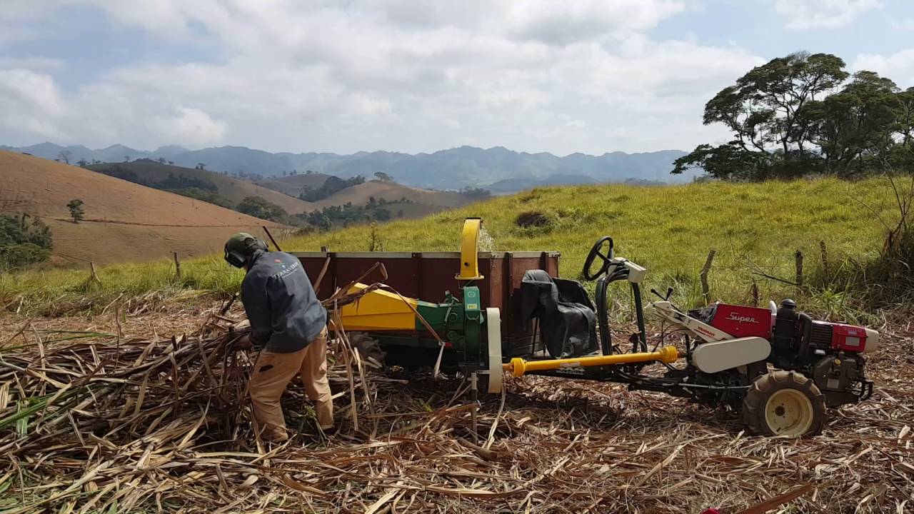 Microtrator Yammar Com Carreta Forrageira Moldemaq