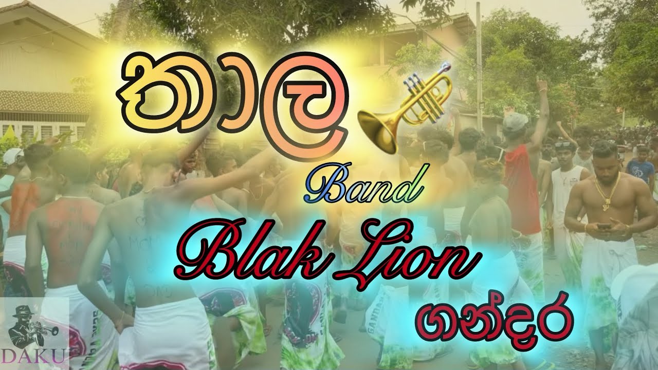 ගන්දර පෙරහැර තාල බෑන්ඩ් සැපක් | Blak Lion kawadi🎺❤️ #kawadi #perahara