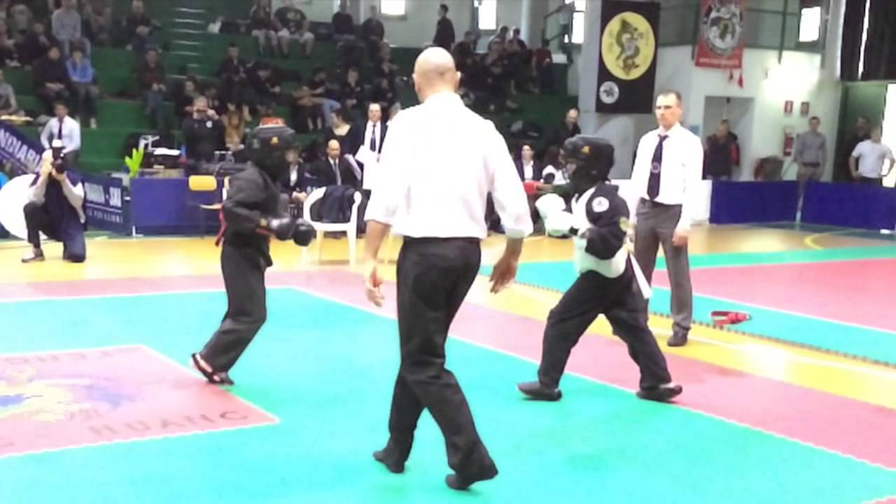 Scuola Feng Huang - Combattimenti Italia Francia 2014