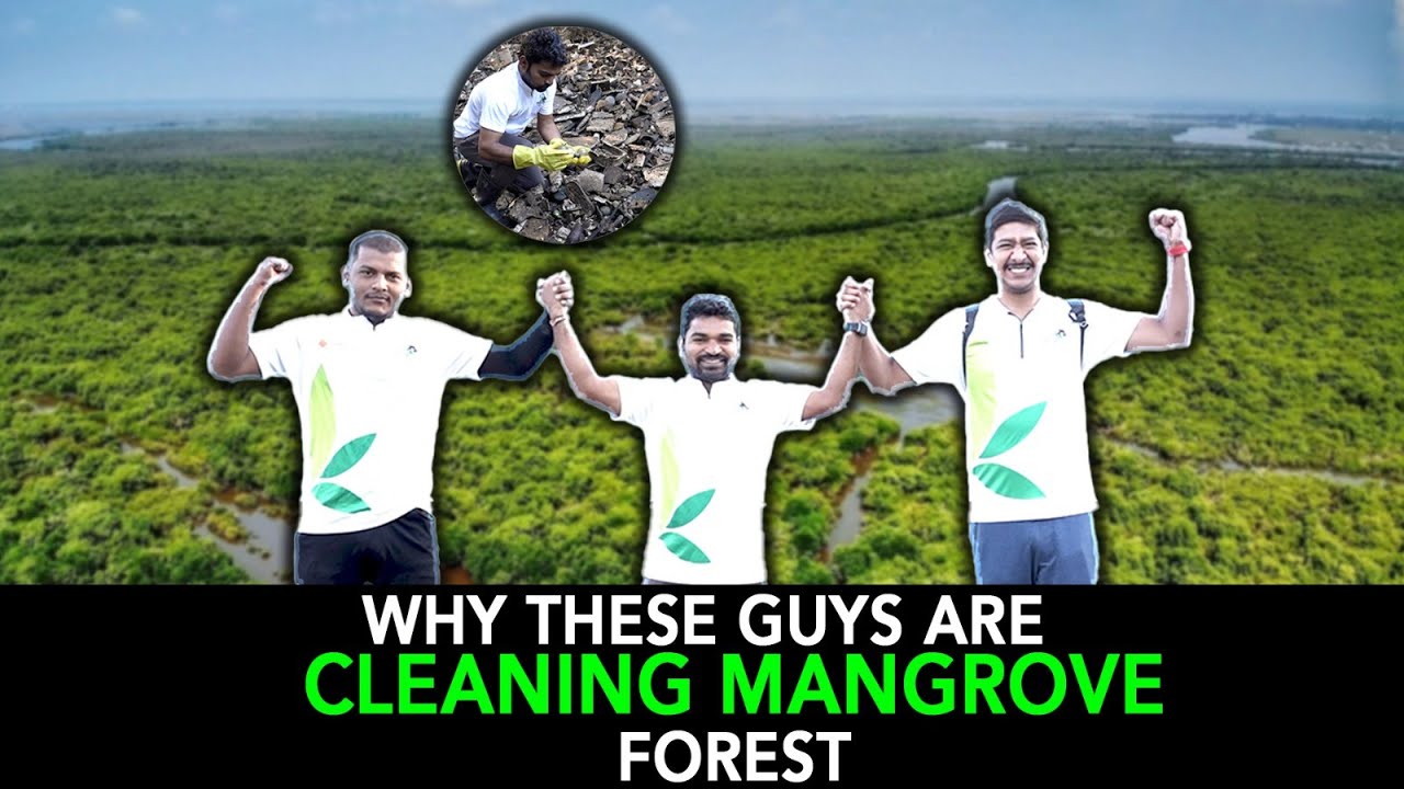 Why These Guys Are Cleaning Mangrove Forest | Anuj Ramatri - An EcoFreak