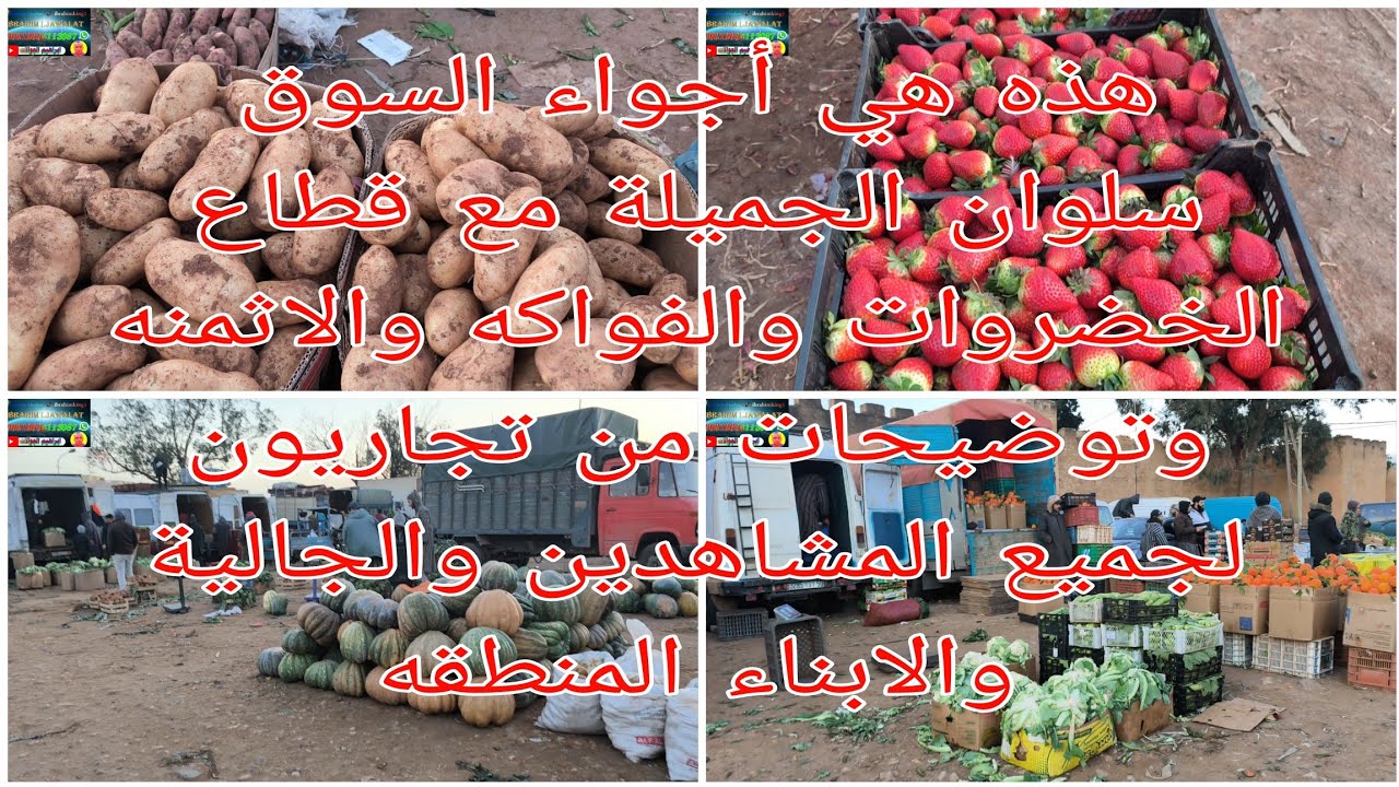 هذه هي أجواء السوق سلوان الجميلة مع قطاع الخضروات والفواكه واثمنه وتوضيحات المشاهدين والجالية لجميع