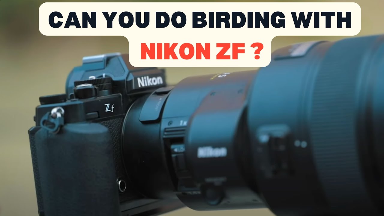 Nikon Zf: достаточно ли хорош для наблюдения за птицами? Nikon Zf с фокусным расстоянием от 180 д...