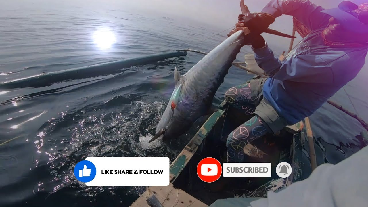 NAPAKA ANGAS NA INTRO 😏✌️😎🤟 #fishing #lovefishing #fishingismylife