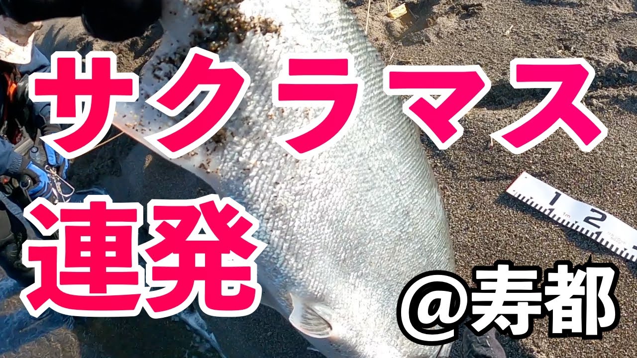 【サクラ大戦】寿都編#1