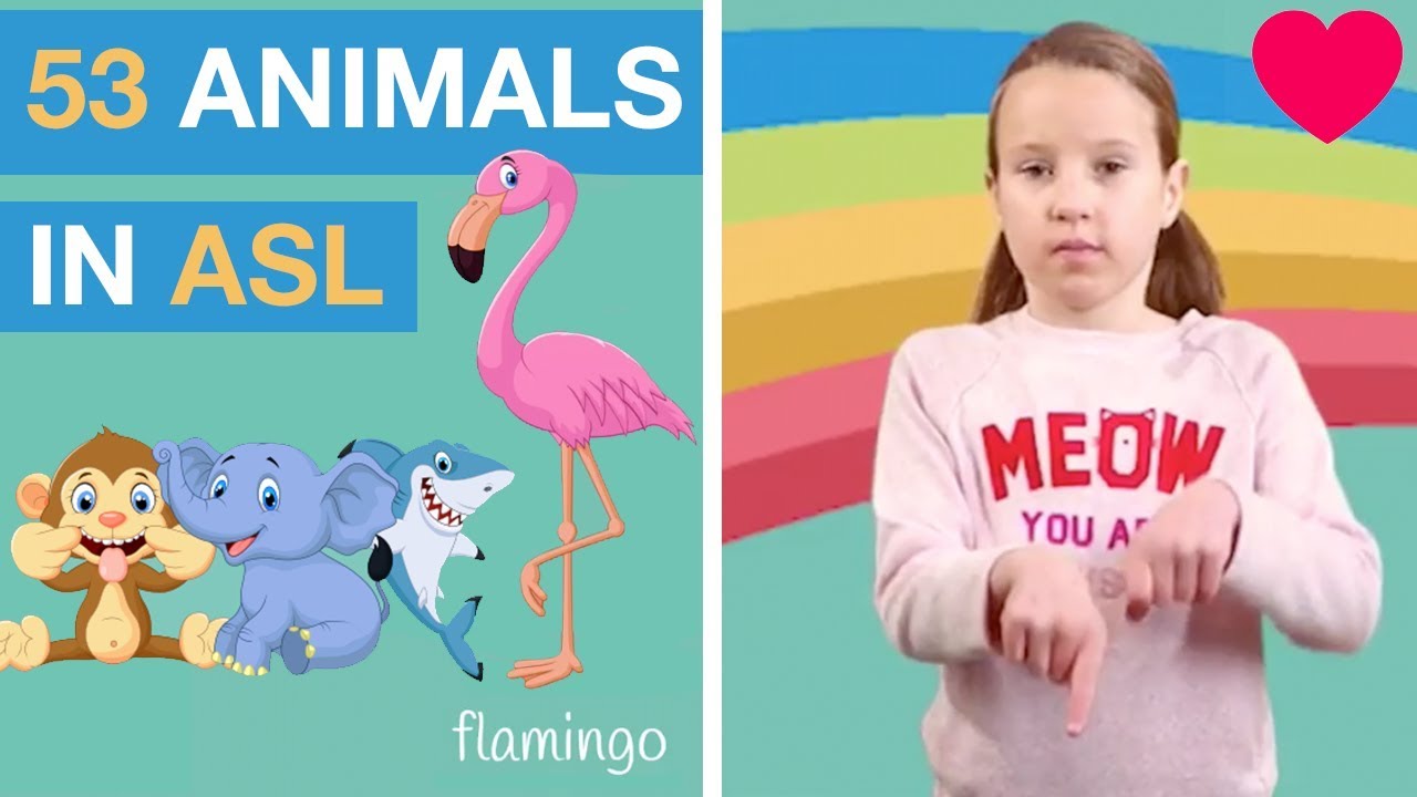 Sign Language Animals - Learn 53 Signs in ASL