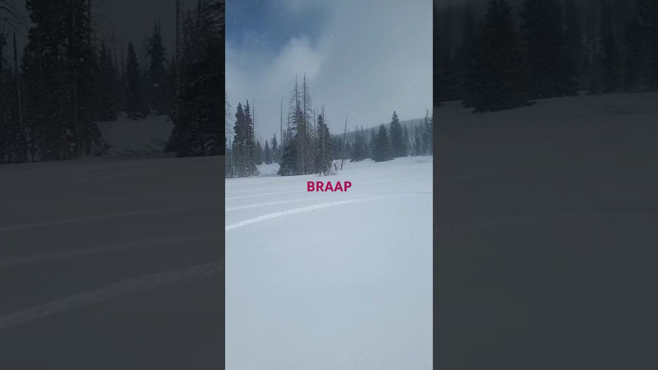 Timbersled Raw 120 