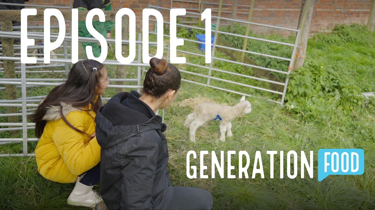 Generation Food Episode 1