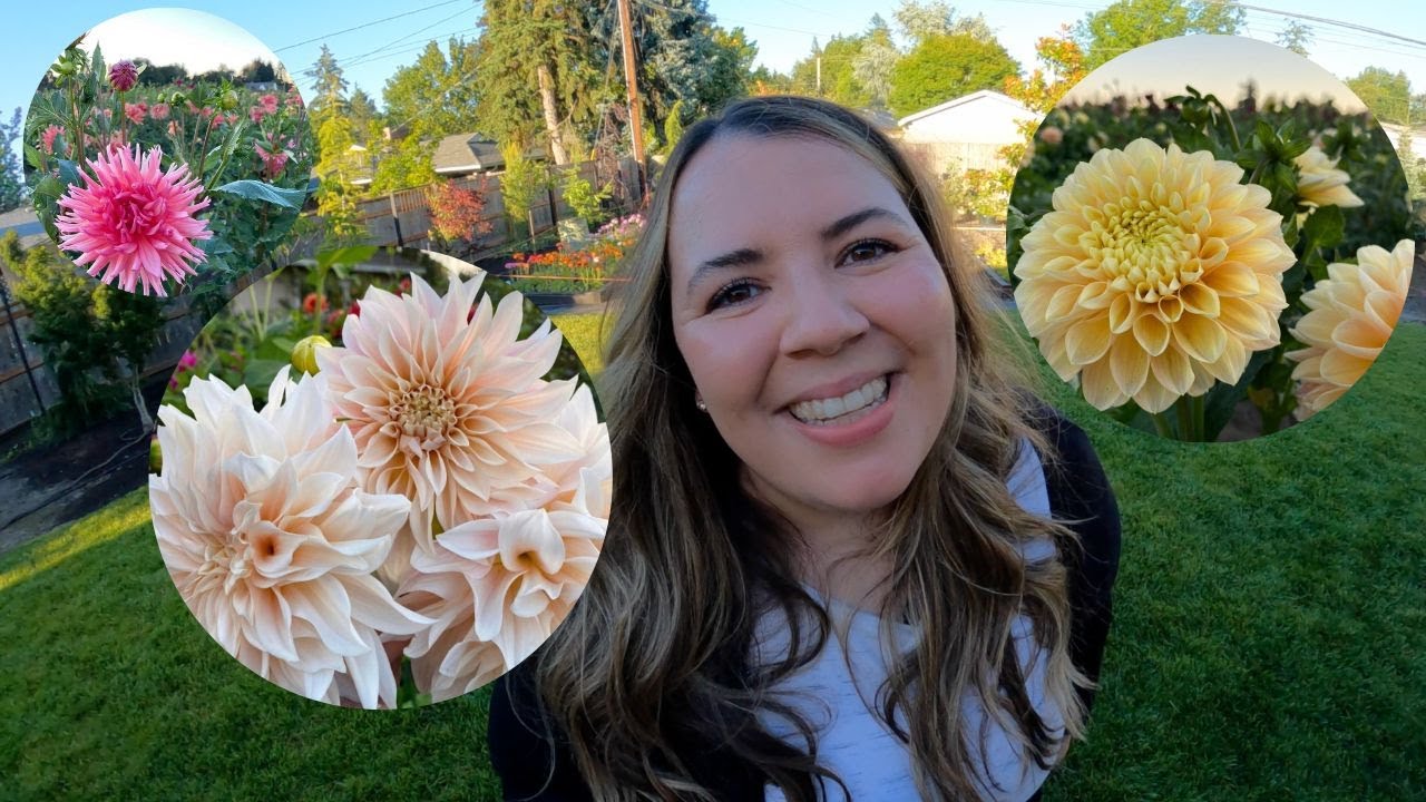 Planting Dahlias 2022!! Plus Update on Our Dahlias Cuttings! 🌸😍
