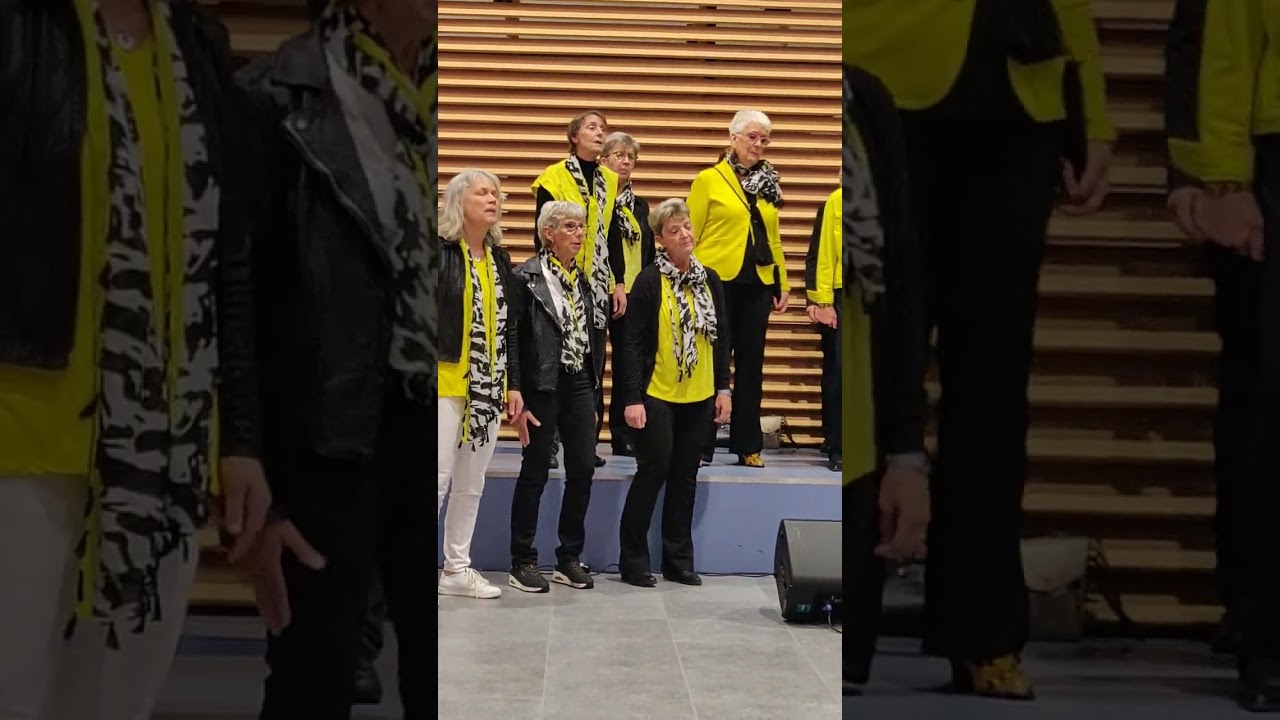 POPKOOR NOISZ: WAAR SAMEN ZINGEN EN GEZELLIGHEID VOOROP STAAT 🕺🎶💃
